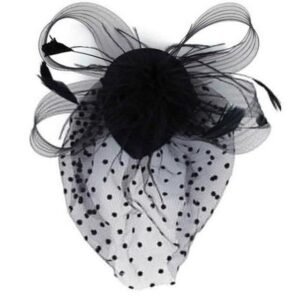 Fascinateur en filet et plume
